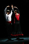 Dancing for the Children - Gala 2011- Sevillanas